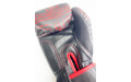 Боксерские перчатки Raja Snake black 10 oz