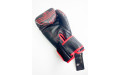 Боксерские перчатки Raja Snake black 10 oz