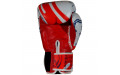 Боксерские перчатки Twins Special FBGVL4-67 Yant 16 oz