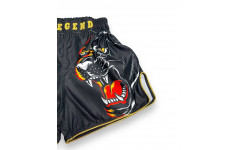 Шорты для бокса Blegend Magic Tiger S