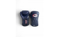 Боксерские перчатки Twins Special BGVL6 Navy/Navy 12 oz
