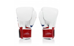 Боксерские перчатки Fairtex BGV1 Thai PriDe 14 oz