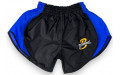 Шорты для бокса Blegend Powerhous black blue - XL