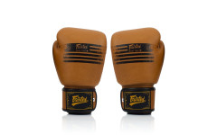 Боксерские перчатки Fairtex BGV21 LEGACY 12 oz