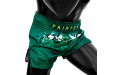 Шорты для бокса Fairtex BS1913 S Шорты для бокса Fairtex BS1913 S