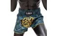 Шорты для бокса Fairtex BS1915 S Шорты для бокса Fairtex BS1915 S