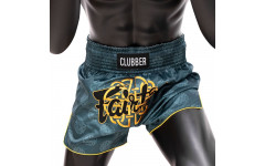 Шорты для бокса Fairtex BS1915 M