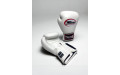Боксерские перчатки Twins Special BGVL3 white 12 oz