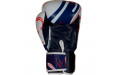 Боксерские перчатки Twins Special FBGVL4-67 Yant 14 oz